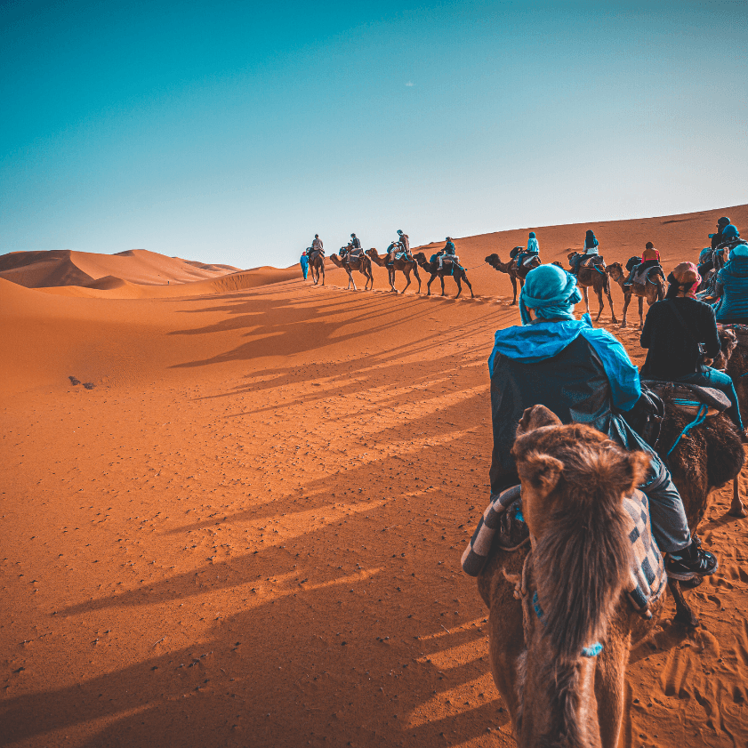 zagora desert Marokko